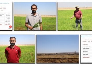 Trafoları sökülen çiftçiler: "Ekinlerimiz kurudu"