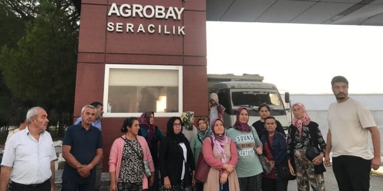 Agrobay işçileri