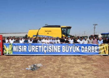 TMO'nun mısır alım fiyatına karşı çiftçiler traktörlü eylem yaptı