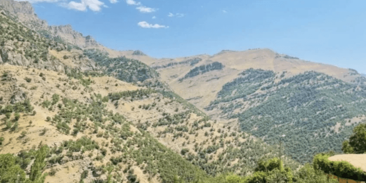 Bilbês köyü 23 gündür ablukada