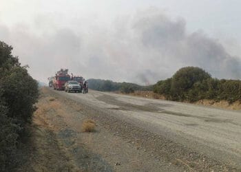 Gelibolu Yarımadası'nda makilik alanda yangın çıktı