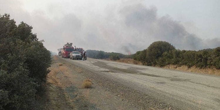 Gelibolu Yarımadası'nda makilik alanda yangın çıktı