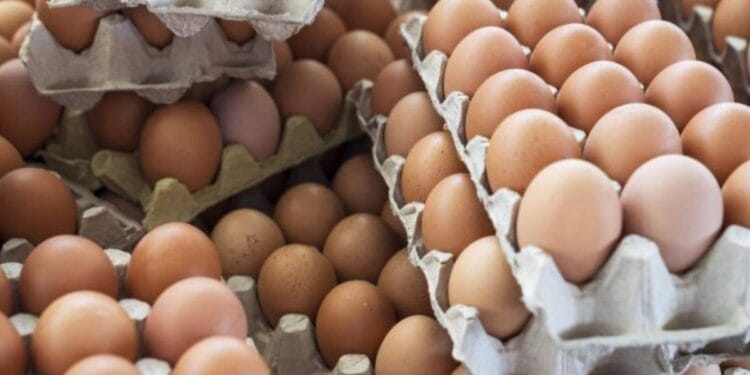 30'lu yumurta 120 lira oldu