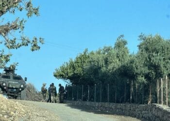 Şırnak'a bağlı Ormaniçi'nde köylülerin bağ ve bahçelerine gitmeleri 11 gündür engelleniyor