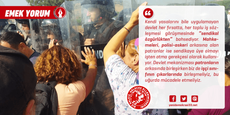 Agrobay’da Direniş Kazanacak!