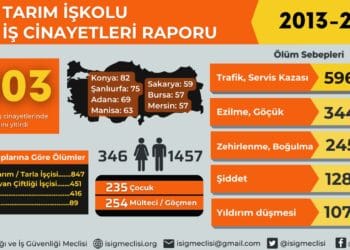 İSİG Meclisi: "Son 10 yılda bin 803 tarım işçisi hayatını kaybetti"