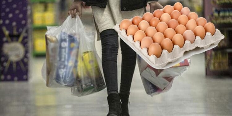 Yumurta bir yılda ikiye katlandı