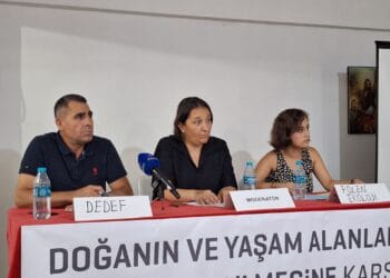 Fotoğraf: PİRHA/Devrim Fındık