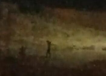 Nusaybin sınırında asker şiddeti