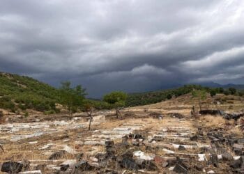 Şırnak'ta operasyona çıkan askerler mezarlığı tahrip etti