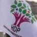 HDP