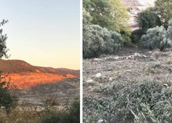 Akbelen Ormanı'nda maden çalışmaları tepkilere rağmen başladı