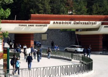 Eskişehir'de gözaltı