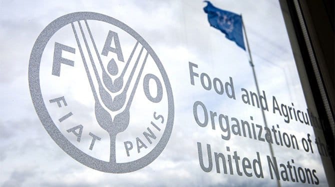 Küresel gıda fiyatları Mart 2021’den bu yana en düşük seviyeye geriledi