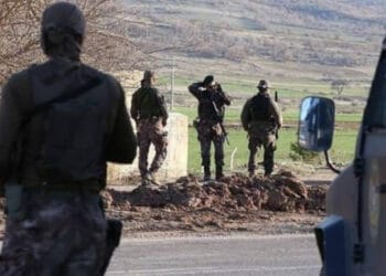 Bitlis'te ev baskınları: En az 15 gözaltı