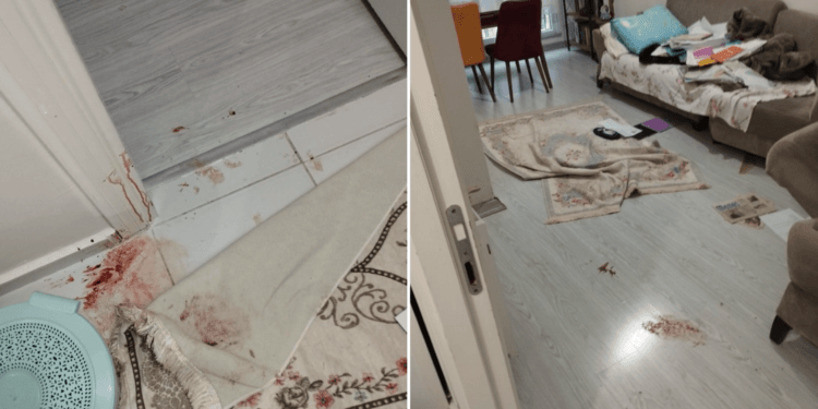 Pınar Birkoç'a gözaltında işkence