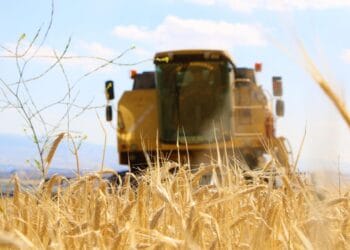 Mardin'de DEDAŞ'ın uygulamaları sebebiyle çiftçilerin yüzde 15'i ekim yapmayı bıraktı