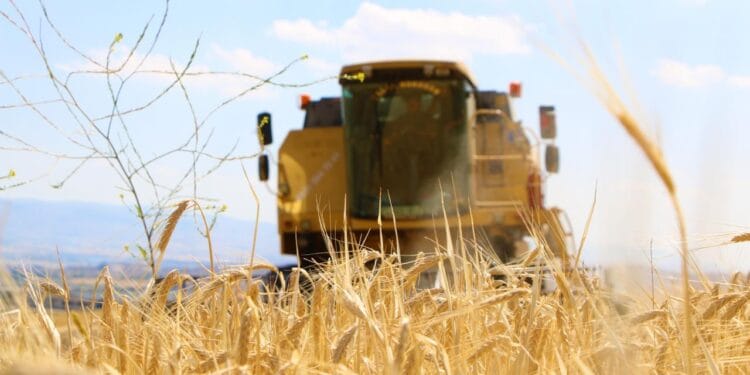 Mardin'de DEDAŞ'ın uygulamaları sebebiyle çiftçilerin yüzde 15'i ekim yapmayı bıraktı