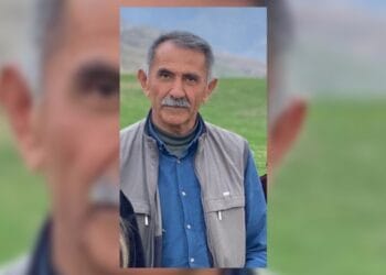 DEM Parti yöneticisi Ahmet Gün