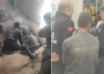 Mardin'de iş cinayeti: Buğday silosuna düşen işçi hayatını kaybetti