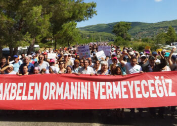 Akbelen Ormanı için eylem