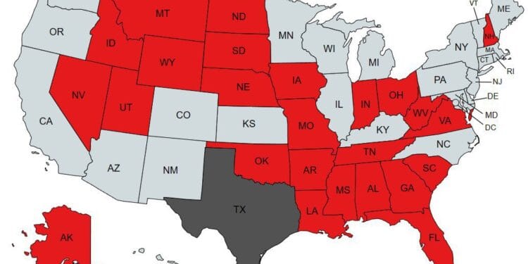 Teksas'a destek bildirisi yayımlayan eyaletler