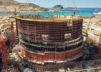 Akkuyu Nükleer Santrali'nde menenjit salgını