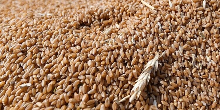 TMO deposundan 7 bin tondan fazla hububat çalınmıştı