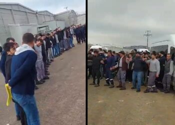 Milat Halı işçileri