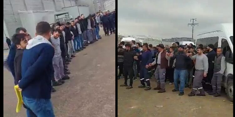 Milat Halı işçileri