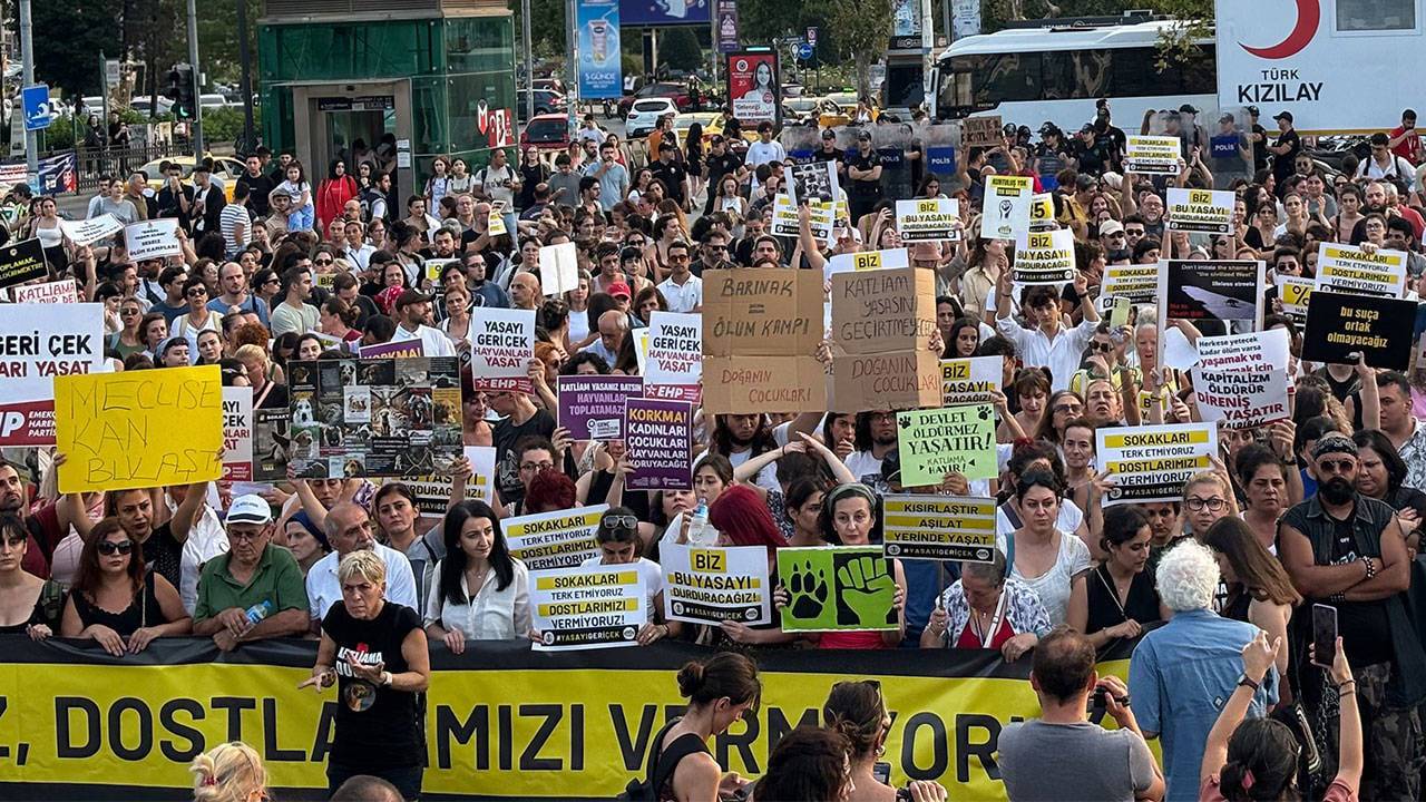 Kadıköy'de hayvan hakları eylemi