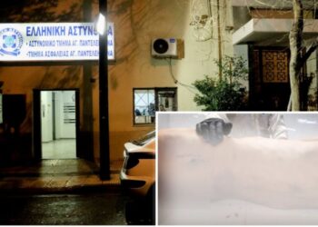 Muhammad Kamran Asik