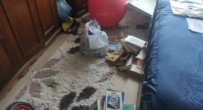 Tatvan ev baskınları