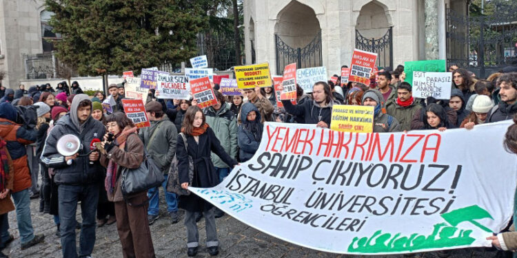İstanbul Üniversitesi