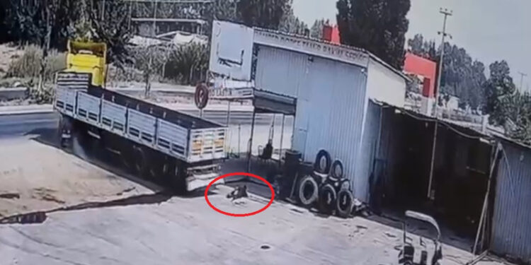 CREATOR: gd-jpeg v1.0 (using IJG JPEG v62), quality = 90