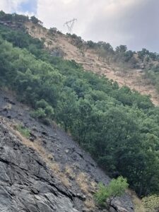 Elektrik direğine yol için iş makineleriyle yok edilen ormanlık alan